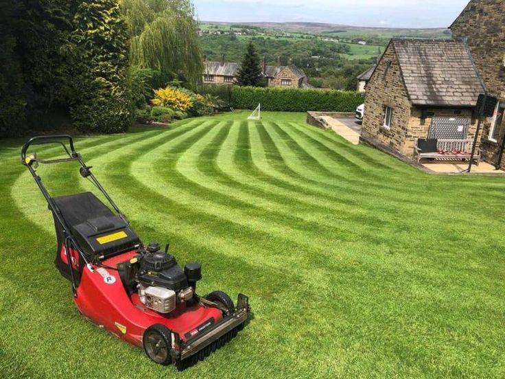 6 steps to get the perfect lawn stripes (add lines to grass)