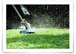 a weed eater makes all the difference in a polished lawn