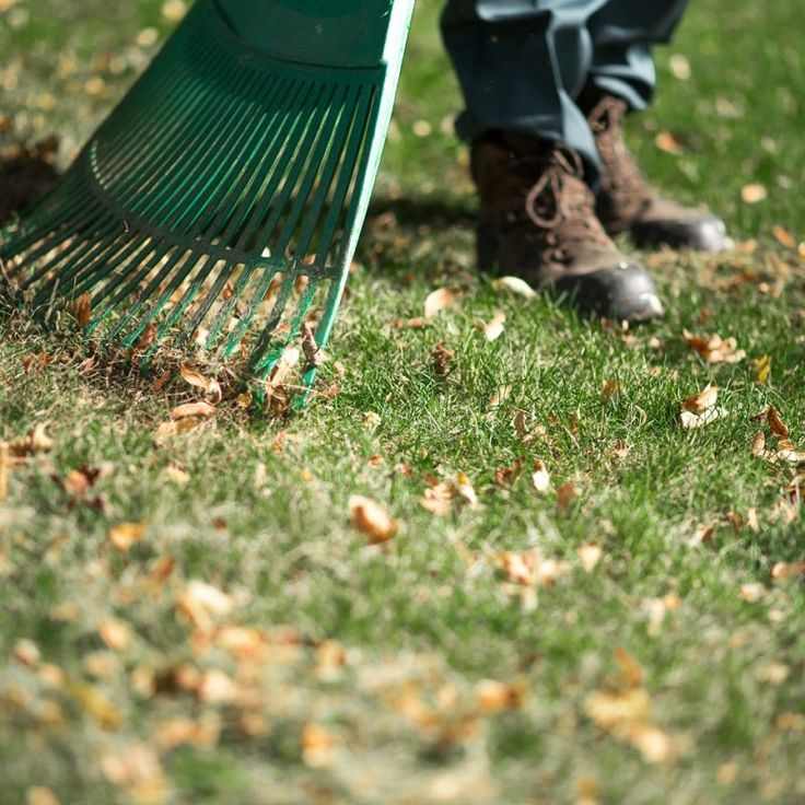 answering your most frequently asked questions about lawn care!