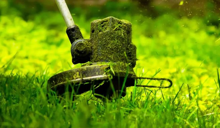 should you cut grass before spraying post emergent herbicide sodlawn