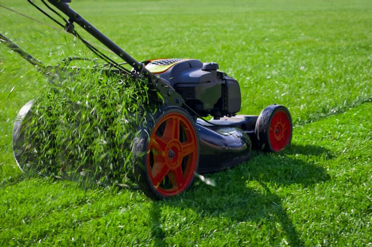 start your spring lawn care in 11 steps